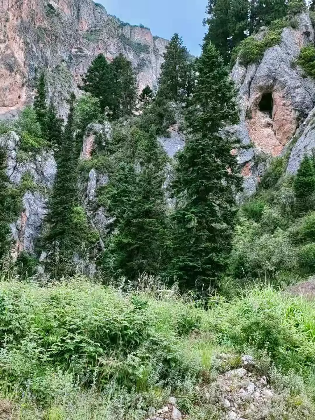 什么是人生感悟？