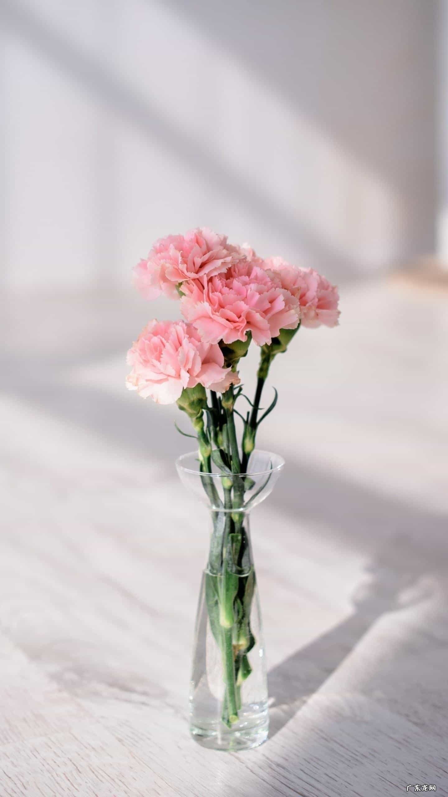 什么是人生感悟？