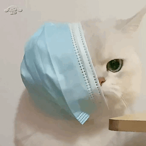 315打假名单2019 今年315打假名单