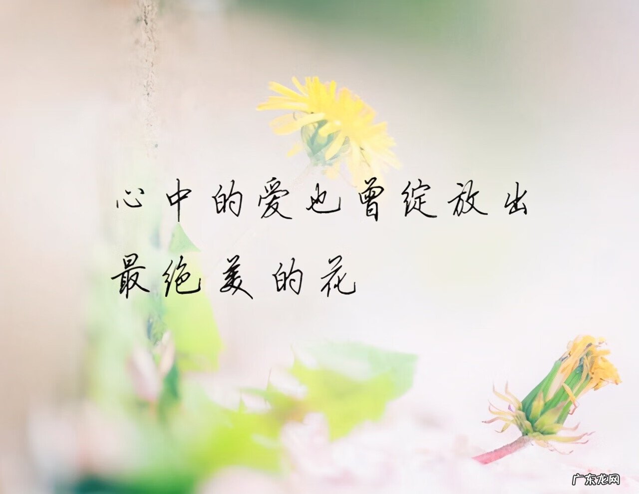 315在爱情里是啥意思 315爱情含义是什么意思