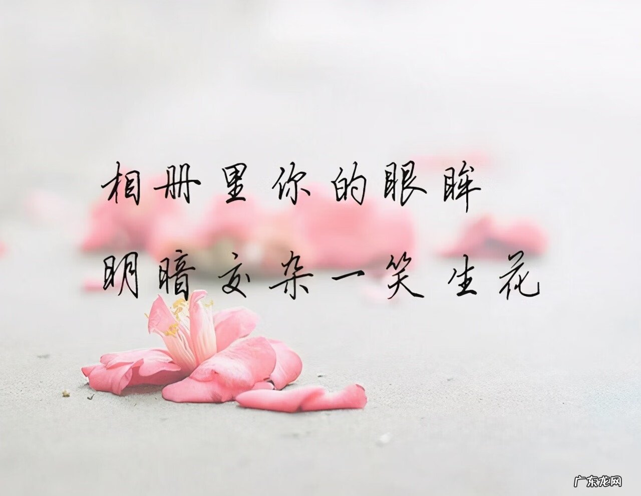 315在爱情里是啥意思 315爱情含义是什么意思