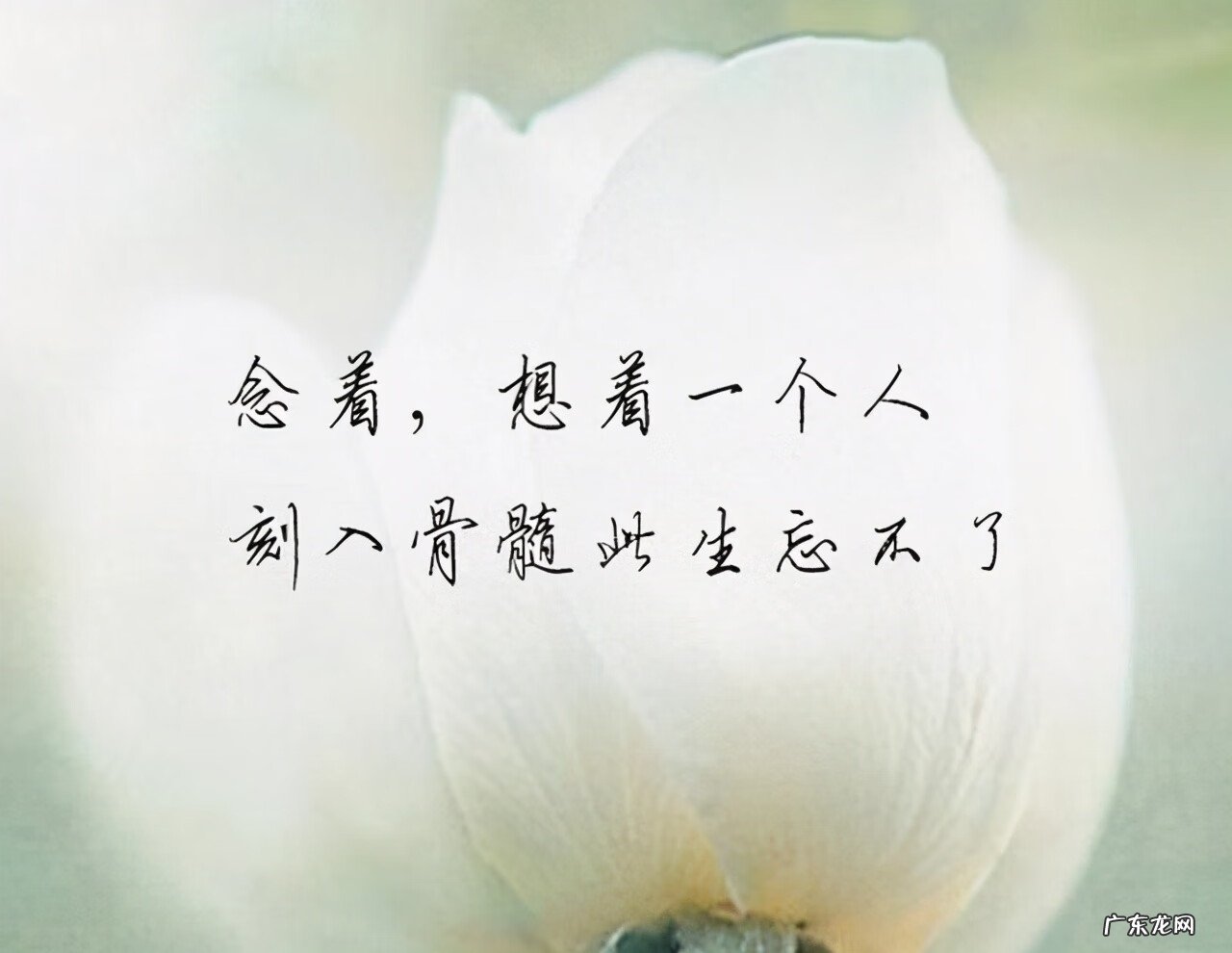 315在爱情里是啥意思 315爱情含义是什么意思