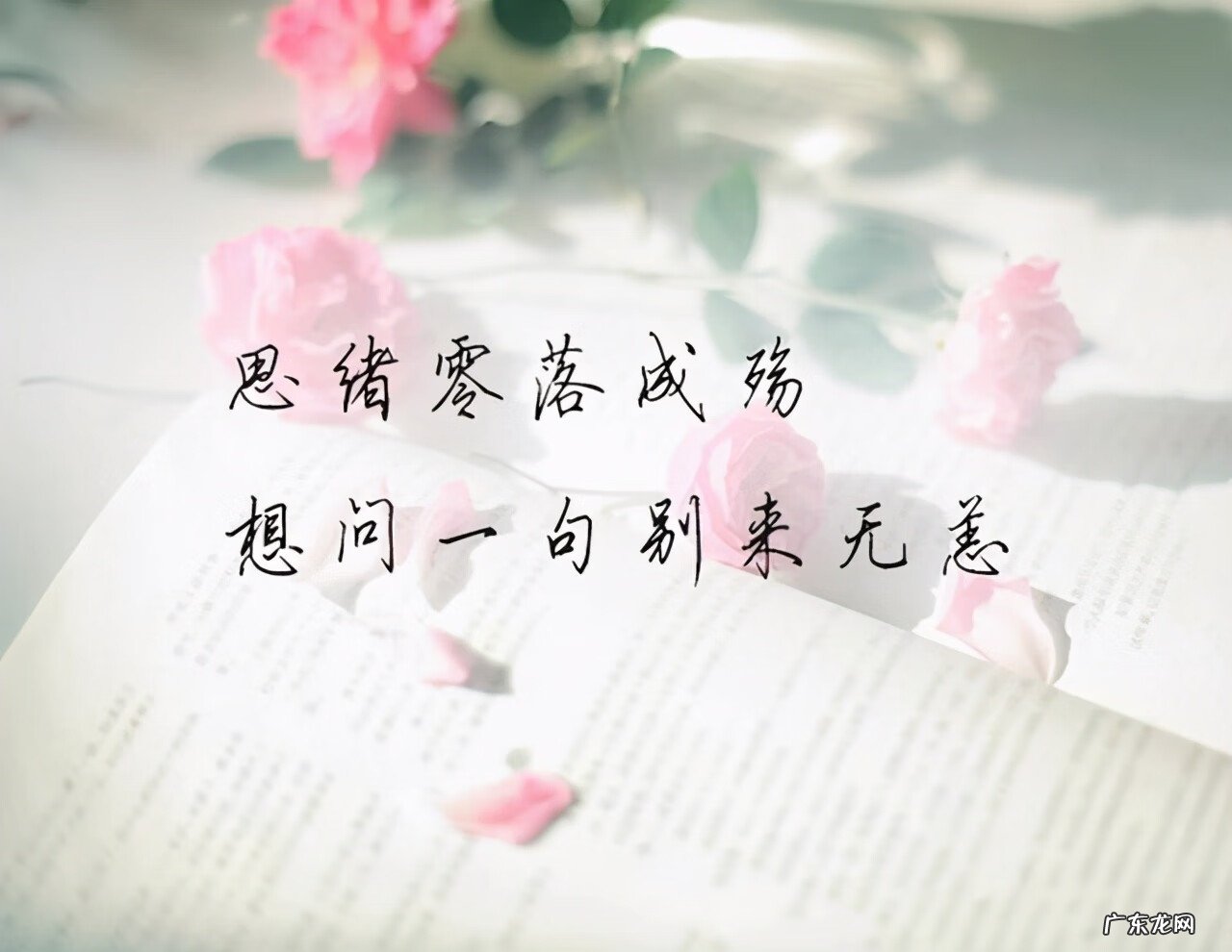 315在爱情里是啥意思 315爱情含义是什么意思