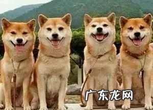 亓怎么读 亓的读音是什么 亓这个字怎么读