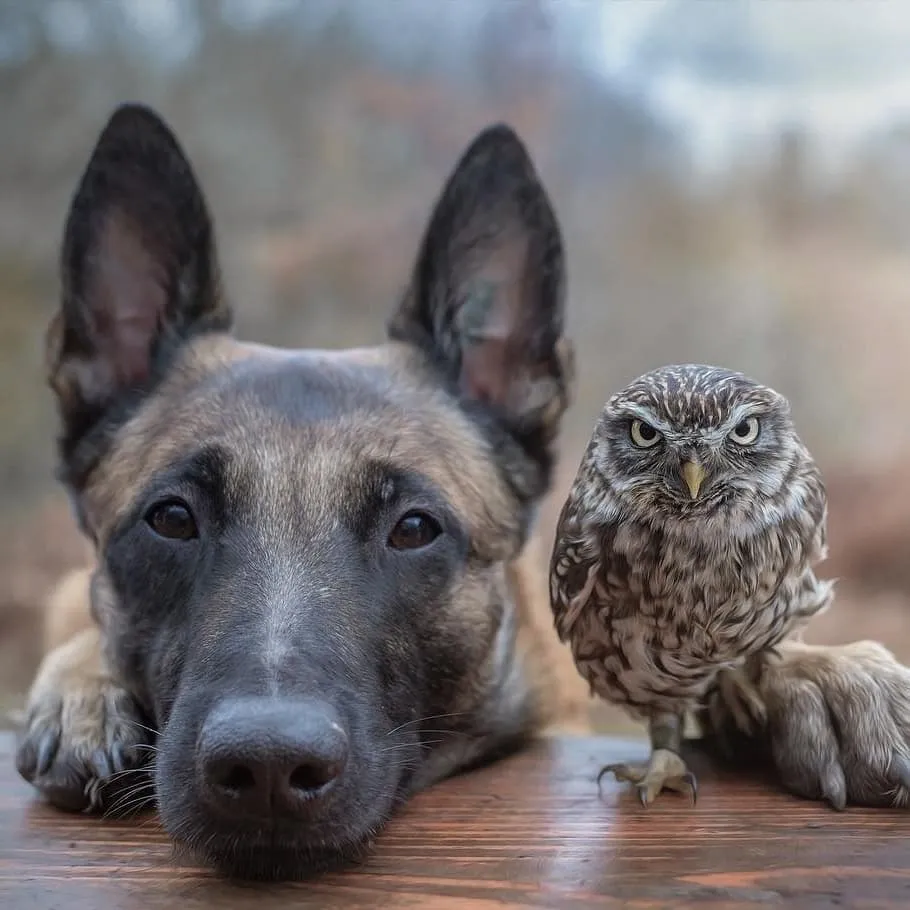 国企在职，工作压力已经到达承受极限，时刻准备着辞职，想去私企，如何克服心里的障碍？