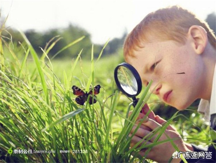 女儿马上要上四年级了，如何提高数学成绩？