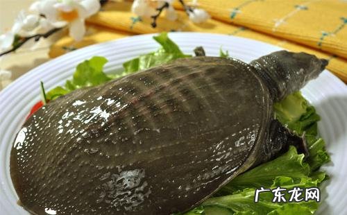 吃甲鱼对身体有什么好处？什么人不宜吃甲鱼？
