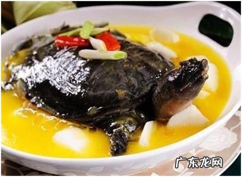 吃甲鱼对身体有什么好处?什么人不宜吃甲鱼?