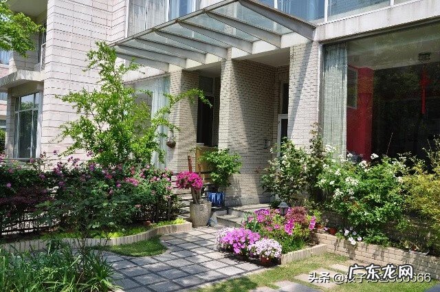 院子里种桃树风水好吗 种核桃树的风水禁忌