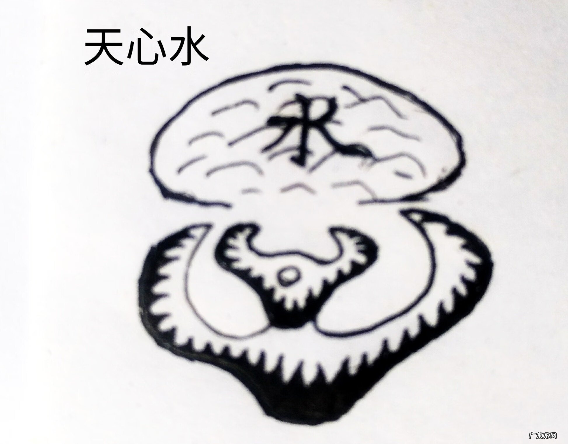 龙虎风水 龙虎交抱风水