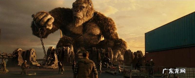 什么是哥斯拉? 哥斯拉是由什么组成的