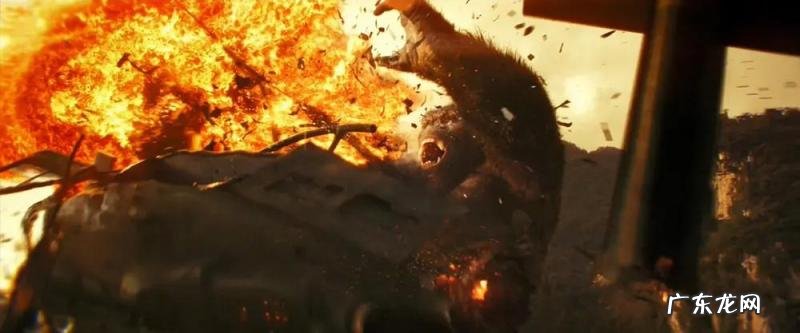 什么是哥斯拉? 哥斯拉是由什么组成的