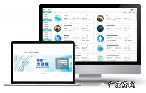 Ue工程师 Ue工程师