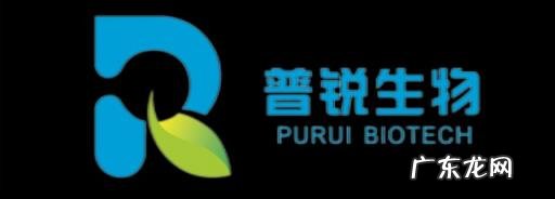 Ue工程师 Ue工程师