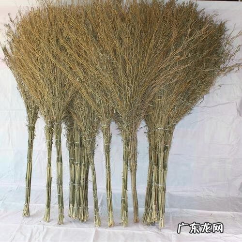 致富机器大全 致富小机器大全图片