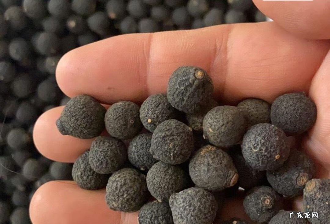 致富机器大全 致富小机器大全图片