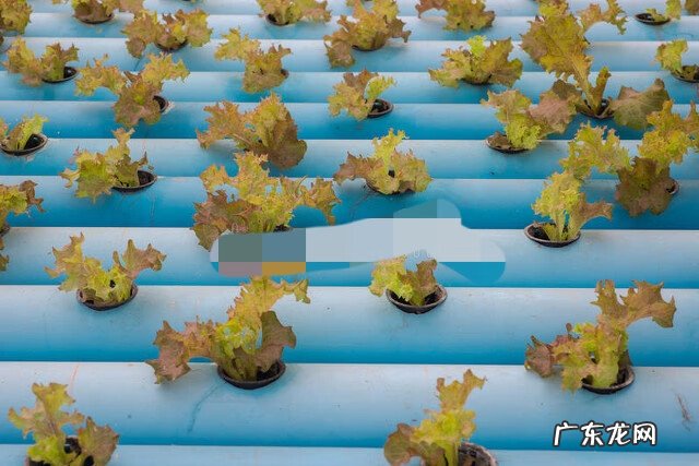 致富机器大全 致富小机器大全图片