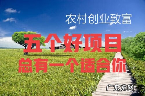 致富机器大全 致富小机器大全图片