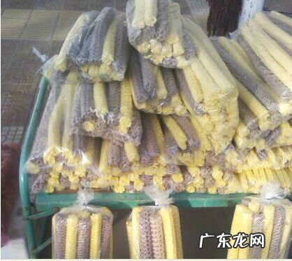 致富机器大全 致富小机器大全图片