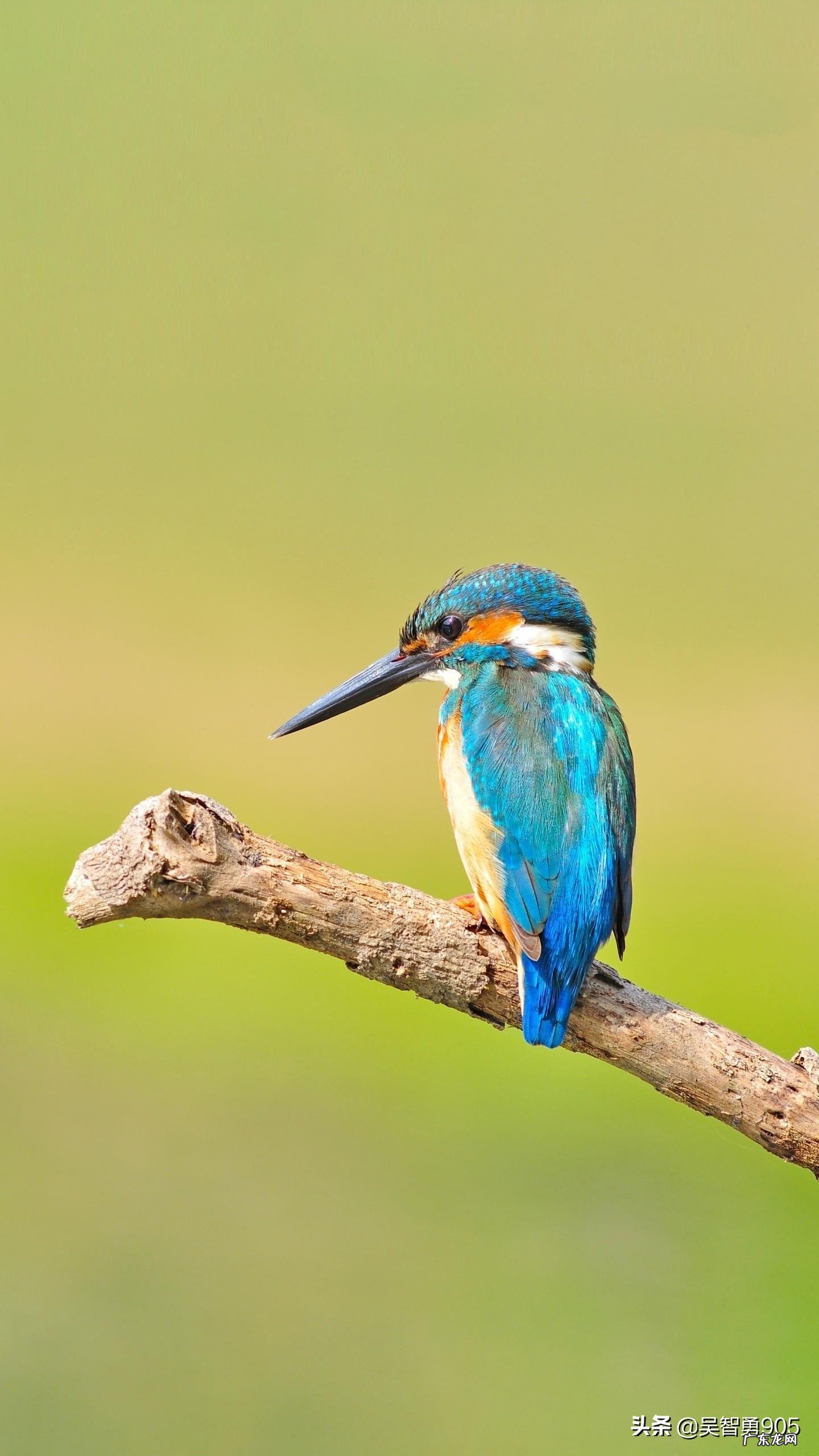 坏情绪会导致人生病吗?