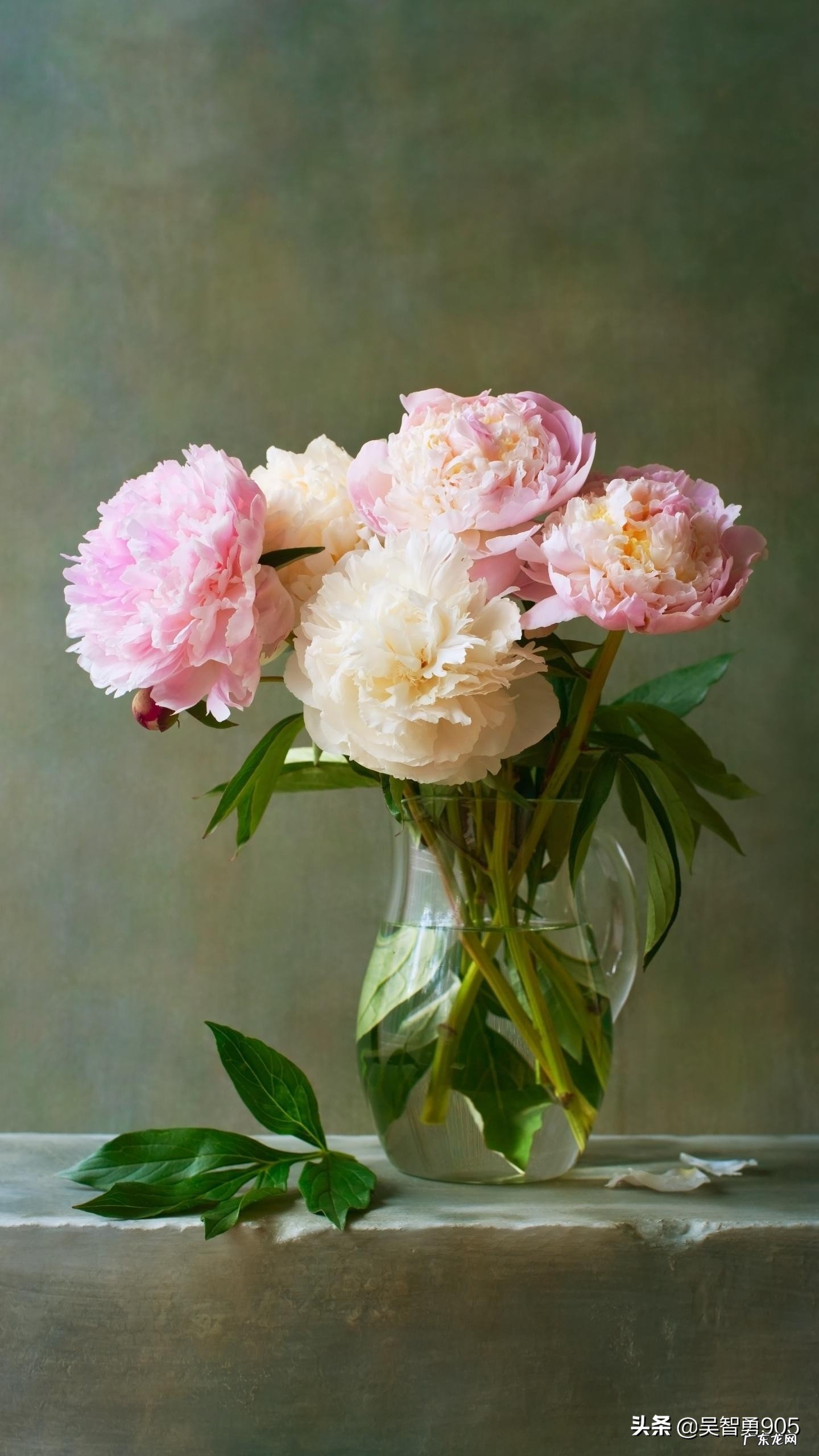 坏情绪会导致人生病吗?