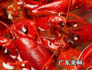 龙虾怎么清洗更干净 怎样清洗小龙虾最干净