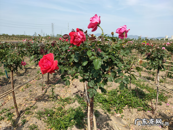 海中月牙岛 月牙岛风景区