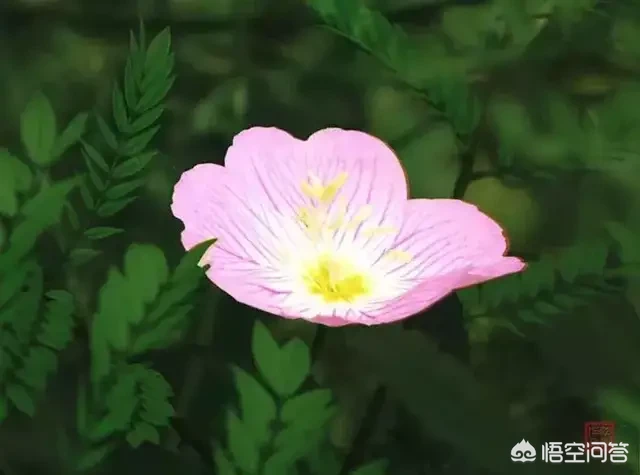 好习惯是怎么养成的?