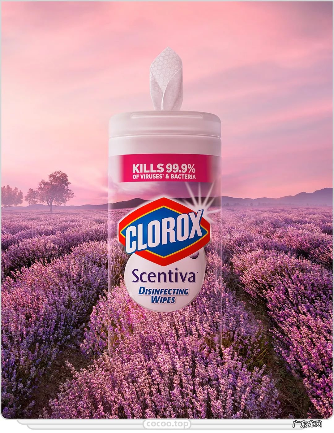 广告设计流程范文 广告设计流程有哪些