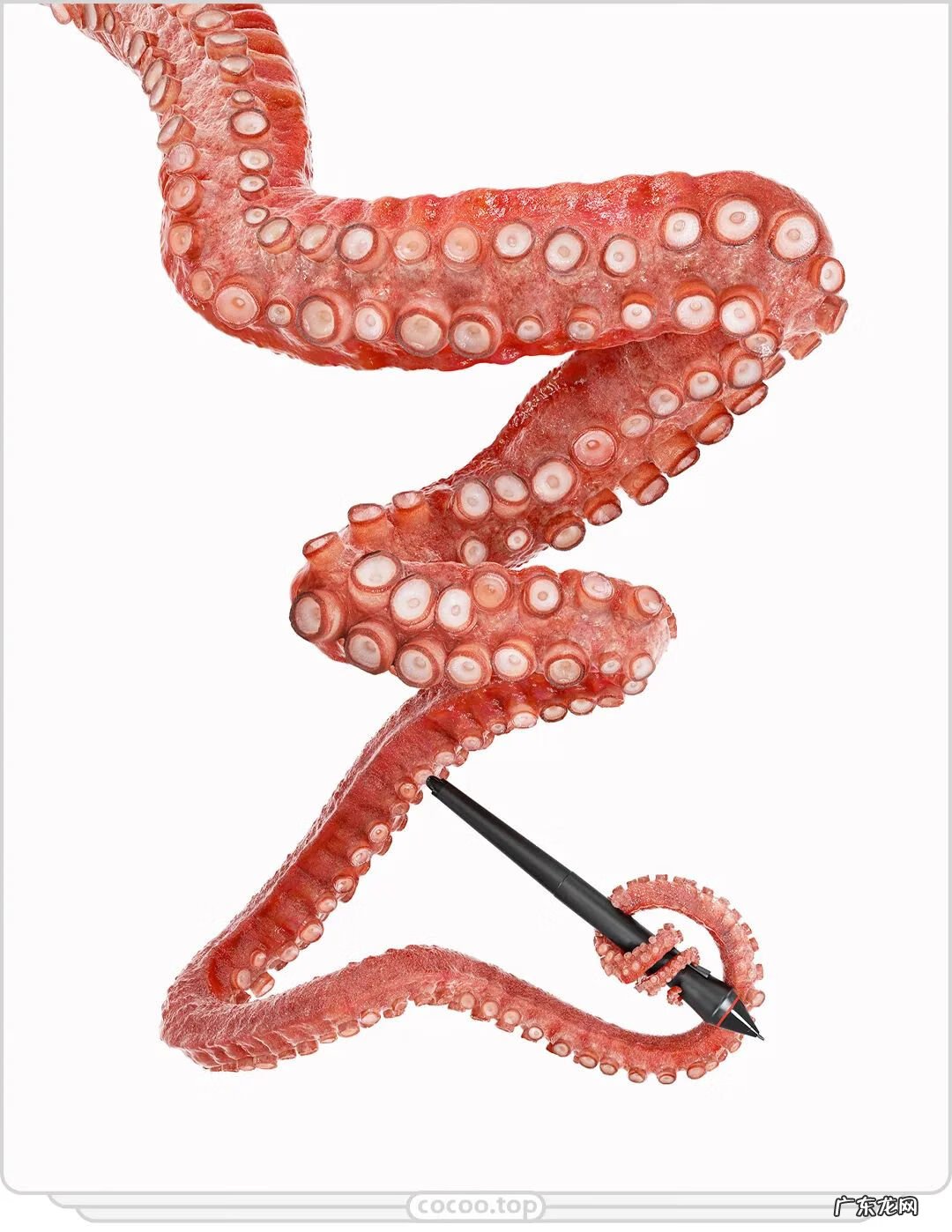 广告设计流程范文 广告设计流程有哪些