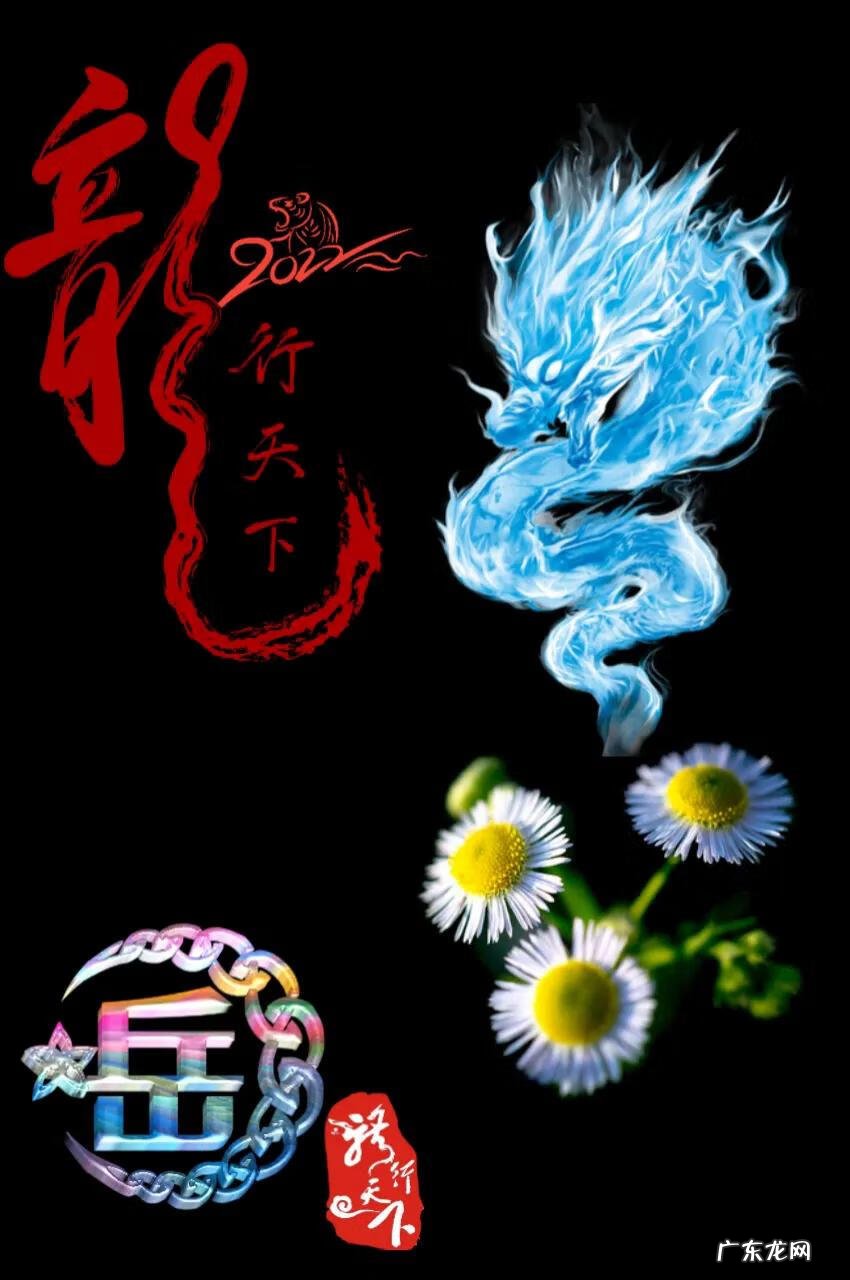 动物传奇龙行天下 龙行天下传奇手游