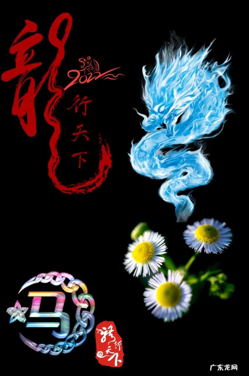 动物传奇龙行天下 龙行天下传奇手游