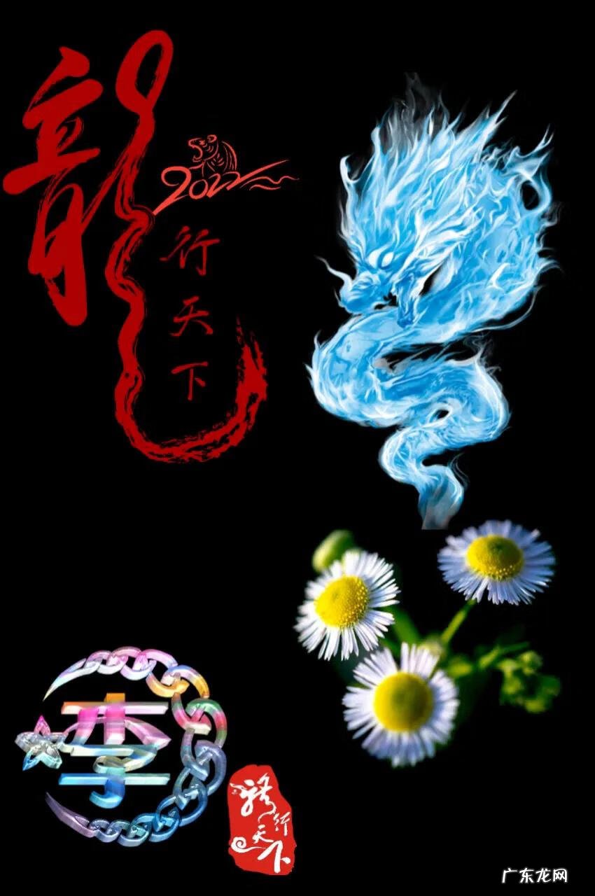 动物传奇龙行天下 龙行天下传奇手游