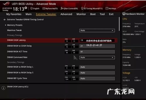 黄嘌呤核苷酸xmp 内存xmp是什么意思