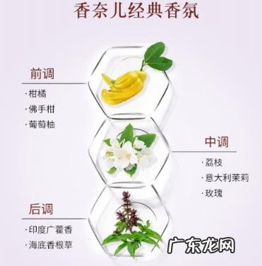 露安适洗发精 露安适洗发水