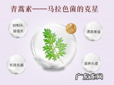 安可拉洗发水 露安适洗发水