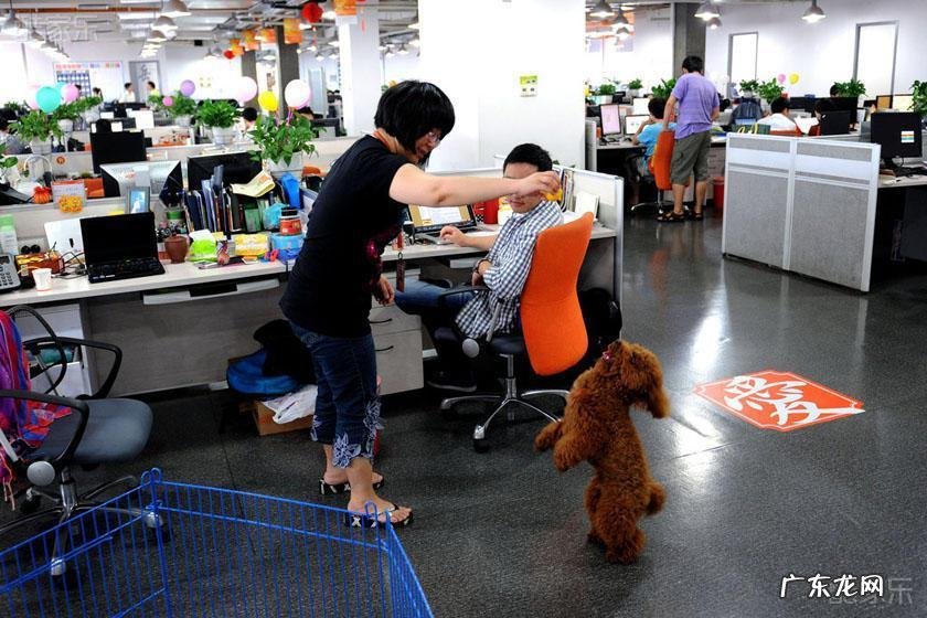 马云家在哪里地址 马云的风水