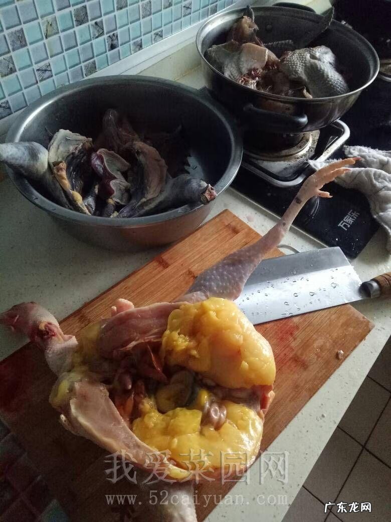 楼顶养狗风水讲究 房顶养家禽风水好吗