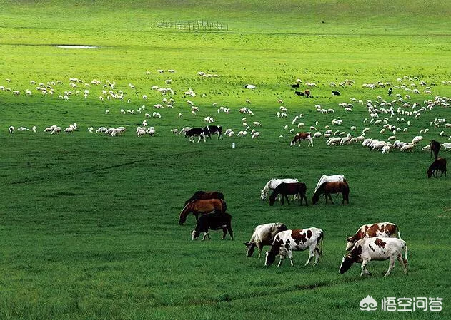 农村俗语“牛马年,广收田,狗猴年,饥荒连”事什么意思?有道理吗?