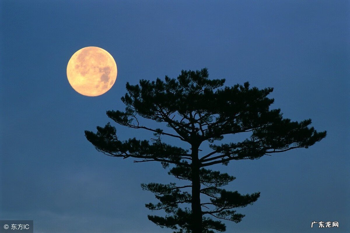风水中曜星起到什么作用 曜在风水中的意思