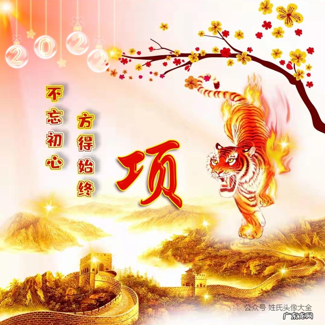 属虎人微信吉利头像 属虎人风水上最好的微信头像