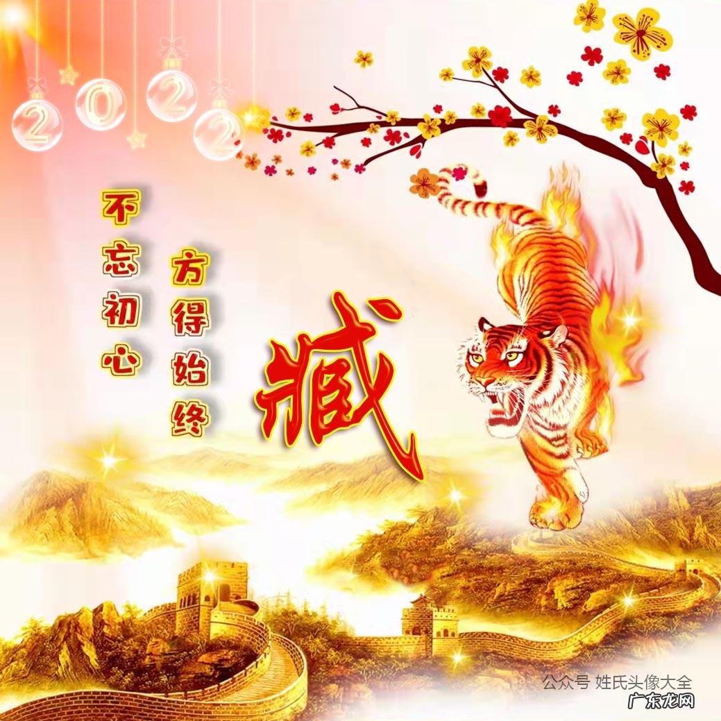 属虎人微信吉利头像 属虎人风水上最好的微信头像