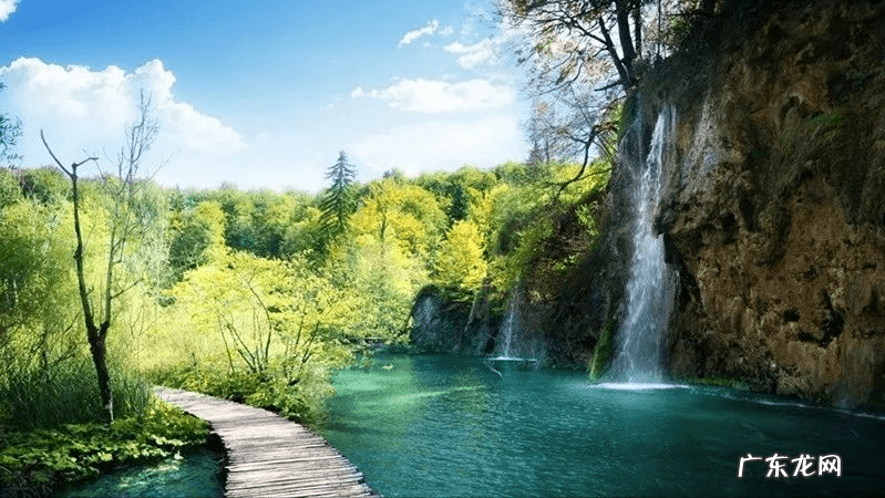 古诗词鉴赏20首 语文古诗文鉴赏