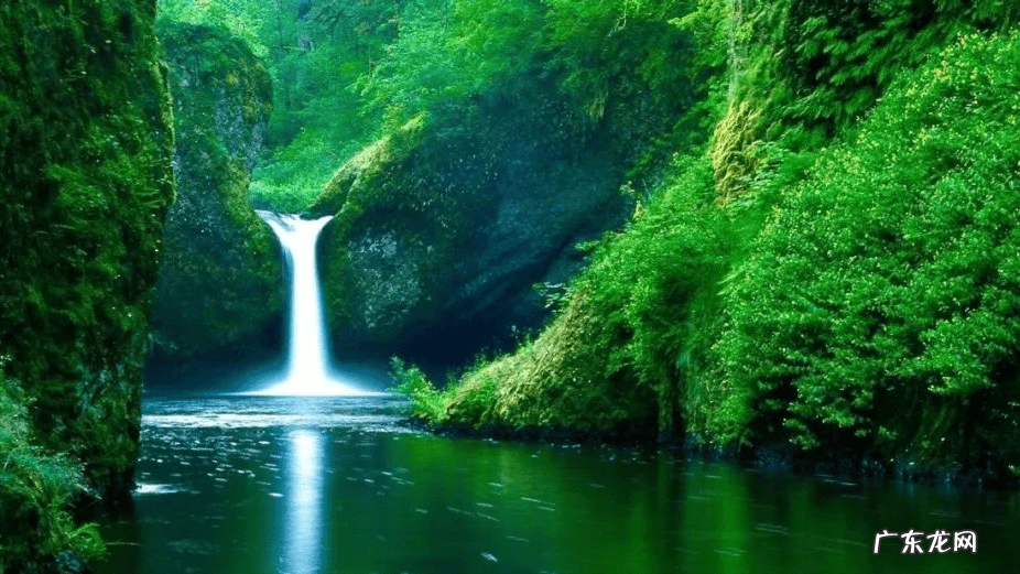 古诗词鉴赏20首 语文古诗文鉴赏