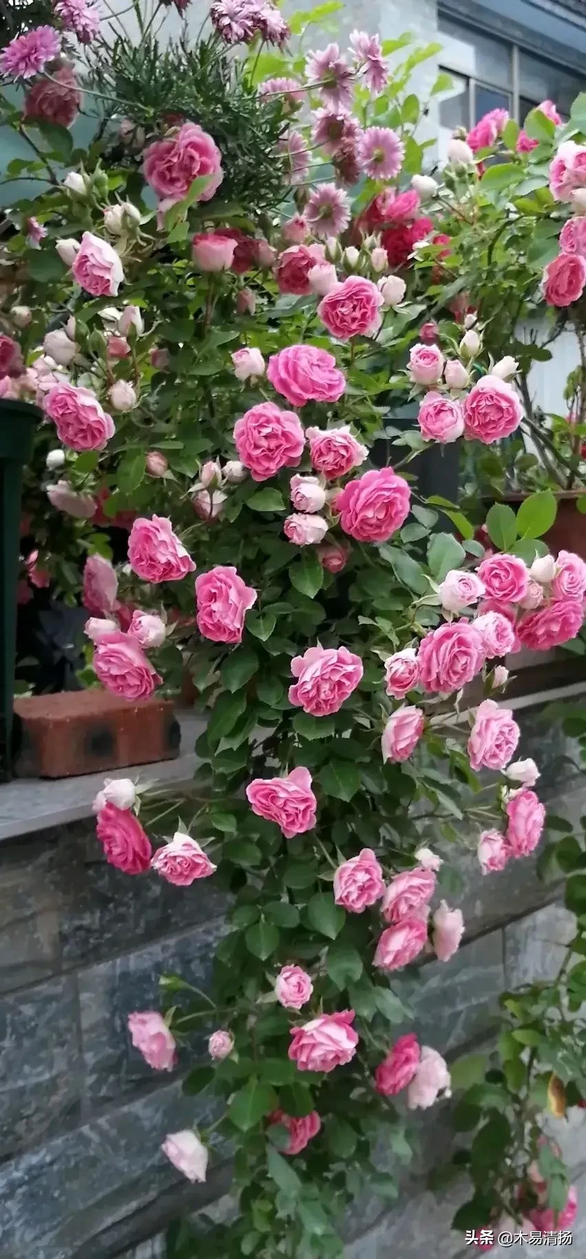 四十多岁的女人工作不好找怎么办?