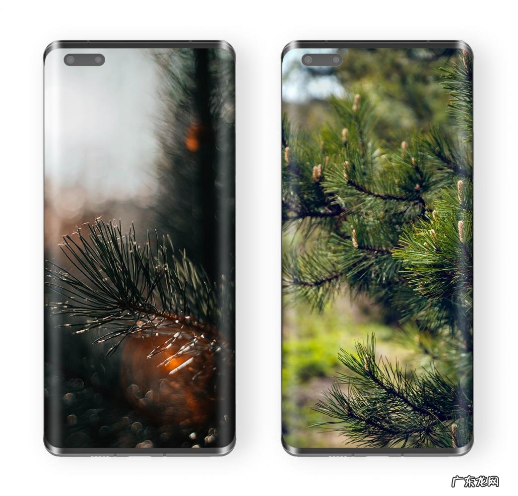 郁郁葱葱的意思是什么? 郁郁葱葱是什么意思呢