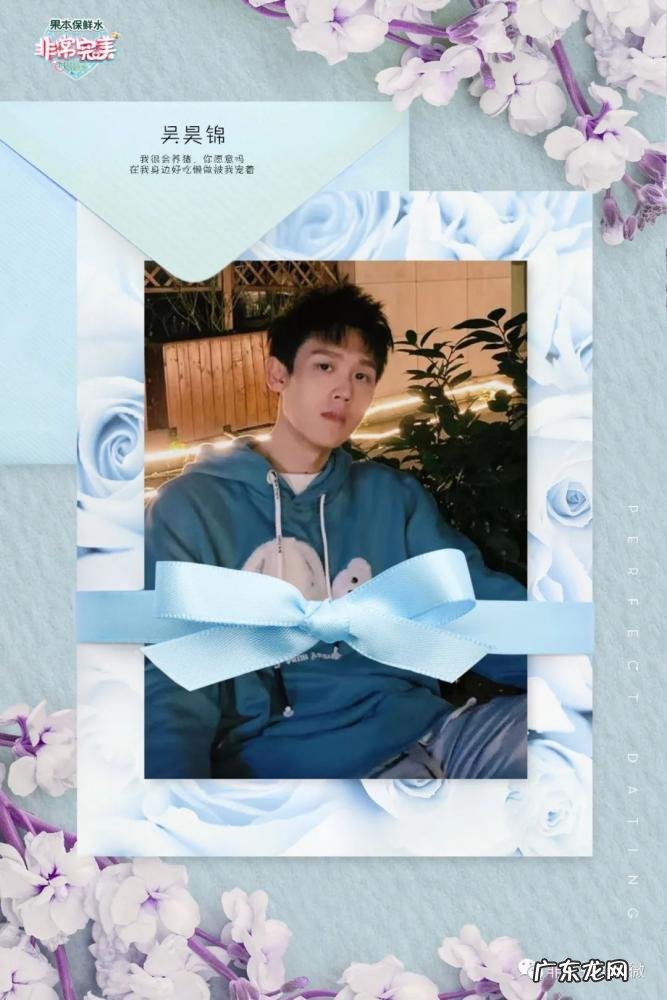 非常完美简介女主 非常完美男嘉宾都是什么背景