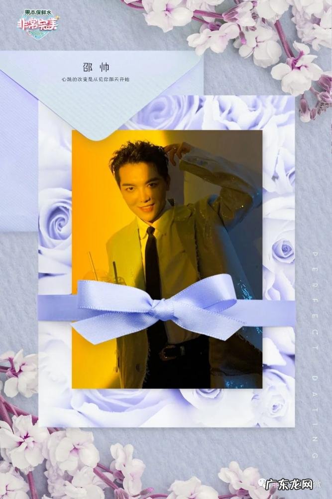 非常完美简介女主 非常完美男嘉宾都是什么背景