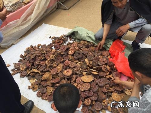 2022做什么赚钱最快最稳 做什么赚钱项目