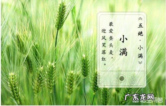 5月20日,是“小满”节气,饮食上吃点啥好?如何养生?